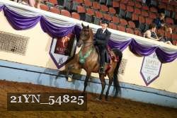 21YN_54825 thumbnail