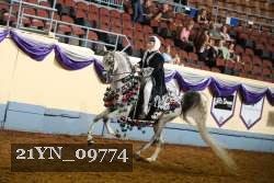 21YN_09774 thumbnail