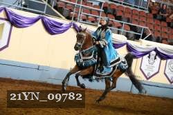 21YN_09782 thumbnail