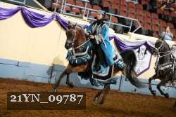 21YN_09787 thumbnail