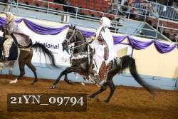 21YN_09794 thumbnail