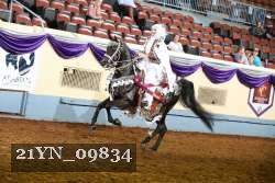21YN_09834 thumbnail
