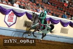 21YN_09841 thumbnail