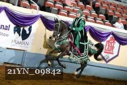 21YN_09842 thumbnail