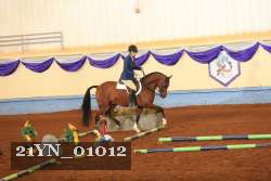 21YN_01012 thumbnail