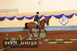 21YN_01052 thumbnail