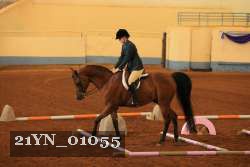 21YN_01055 thumbnail