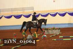 21YN_01064 thumbnail