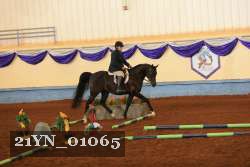 21YN_01065 thumbnail