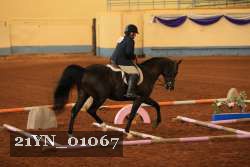 21YN_01067 thumbnail