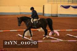 21YN_01070 thumbnail