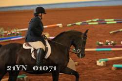 21YN_01071 thumbnail