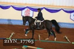 21YN_17765 thumbnail
