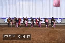 21YN_34447 thumbnail
