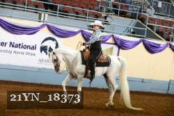 21YN_18373 thumbnail