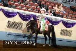 21YN_18625 thumbnail
