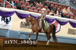 21YN_18639 thumbnail