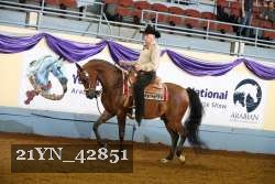 21YN_42851 thumbnail