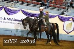 21YN_42856 thumbnail