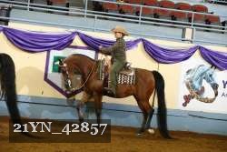 21YN_42857 thumbnail