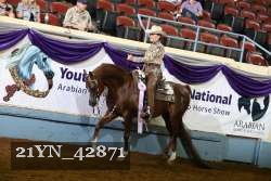 21YN_42871 thumbnail