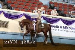 21YN_42872 thumbnail