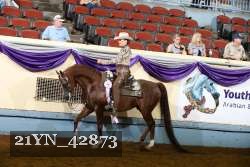 21YN_42873 thumbnail