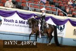 21YN_42874 thumbnail