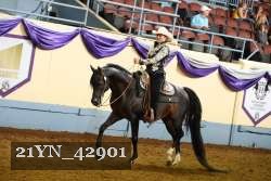 21YN_42901 thumbnail