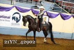 21YN_42902 thumbnail