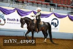 21YN_42903 thumbnail