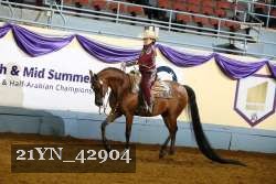21YN_42904 thumbnail