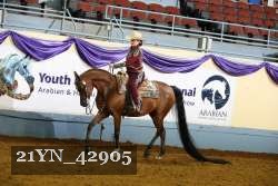 21YN_42905 thumbnail