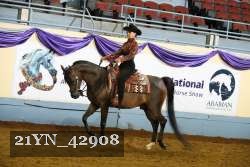 21YN_42908 thumbnail