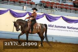 21YN_42909 thumbnail