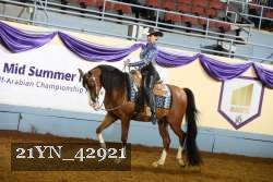 21YN_42921 thumbnail