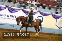 21YN_53017 thumbnail