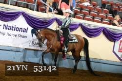 21YN_53142 thumbnail