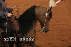 21YN_08262 thumbnail