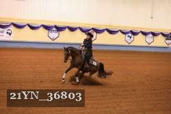 21YN_36803 thumbnail