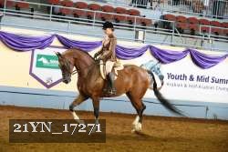 21YN_17271 thumbnail