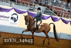 21YN_14642 thumbnail
