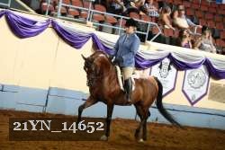 21YN_14652 thumbnail