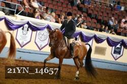 21YN_14657 thumbnail