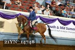 21YN_14748 thumbnail