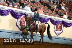 21YN_14749 thumbnail