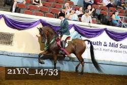 21YN_14753 thumbnail