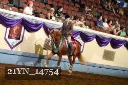 21YN_14754 thumbnail