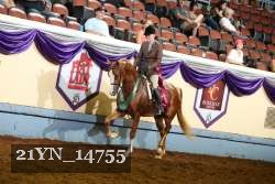 21YN_14755 thumbnail