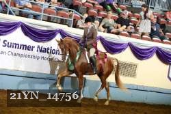21YN_14756 thumbnail